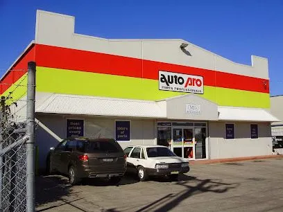 Burson Autoparts, Raymond Terrace