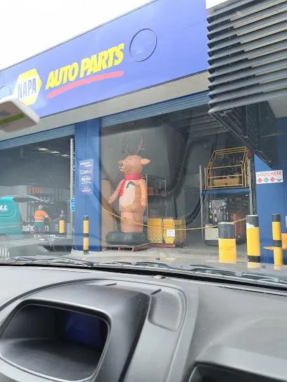 NAPA Auto Parts Wollongong, Unanderra